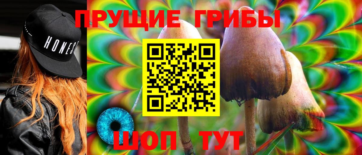 Псилоцибиновые грибы GOLDEN TEACHER Омск