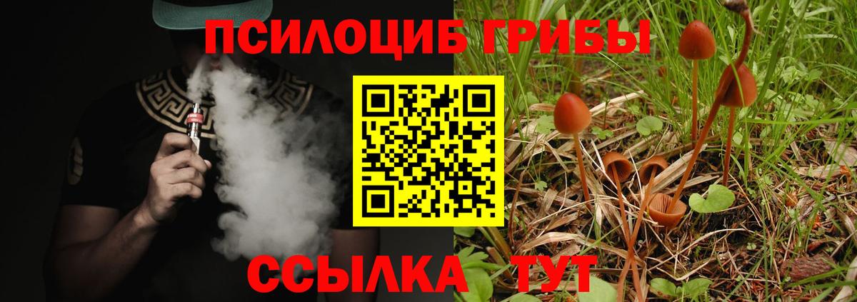Псилоцибиновые грибы Psilocybine cubensis  Вход с VPN  Омск  Галлюциногенные грибы мухоморы 